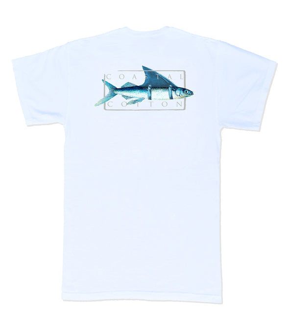 Ballyhoo Shark White