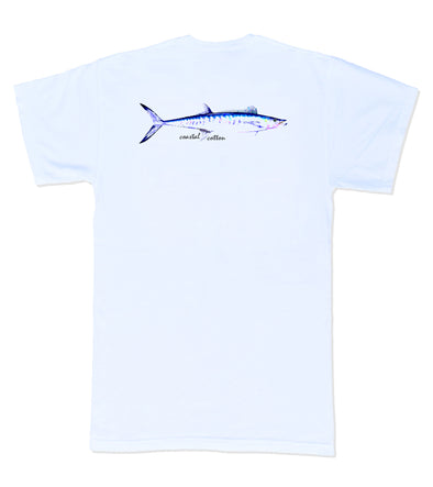 Barracuda White