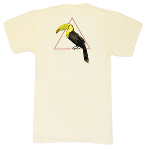 Yellow Toucan